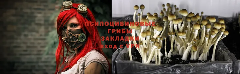 Галлюциногенные грибы Cubensis  blacksprut ONION  Бирюсинск  что такое наркотик 